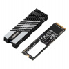 Gigabyte AORUS 7300 SSD 1TB M.2 NVMe Gen4 (PS5 Ready) 7300/6000 MBps (AG4731TB)