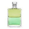 Aura-Soma Products Ltd Hilarion, flakón 53 Aura - Soma