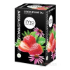 FYTO JAHODA & ECHINACEA ovocno-bylinný čaj 20x2 g (40 g)