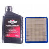 Olej do kosačky - Filtrujte olej pre Briggs Stratton Quantum (Filtrujte olej pre Briggs Stratton Quantum)