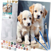Maľba podľa čísel 40x50 cm Massido Puppies