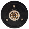 Green Biscuit NHL Boston Bruins