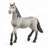 Schleich 13924 Pura Raza Española žriebä