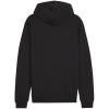 Puma Team Goal Casuals Hoodie M 658595 03 Pánske S
