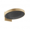Hansgrohe Rainfinity Hlavová sprcha 360 3jet s pripojením na stenu Brúsený bronz 26234140