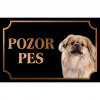 Pekinský palácový psík - Kovová tabuľka POZOR PES