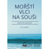 Mořští vlci na souši aneb jak nám uplavaly lodě - Jan Hájek