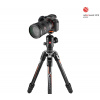 Manfrotto Befree GT Carbon designed for ALPHA - Manfrotto Befree GT (MKBFRTC4GTA-BH)