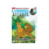 Lví král - Simba 16 - DVD