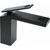 Vlna 75880 stojaci faucet noir 1 (Vlna 75880 stojaci faucet noir 1)
