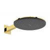 Hansgrohe 24540990