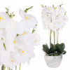 UMELÉ BIELE ORCHIDOVÉ KVETY 75cm (UMELÉ BIELE ORCHIDOVÉ KVETY 75cm)