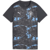 Puma Manchester City Pre Match Short Sleeve Shirt 2024 2025 Womens Grey Cool/Grey 16 (XL)
