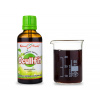 Ocullfit - bylinné kapky (tinktura) - doplněk stravy 50 ml