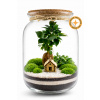 COOL Design Rastlinné terárium HOME 33 cm – biosféra v skle s Ficus bonsai, Fittonia Green a dreveným domčekom | Uzavreté terárium do bytu ako symbol domova a originálny darček
