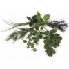 Ekokoza Patchouli, 100 ml