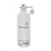 Montale Paris Wild Pears, Parfumovaná voda 100ml unisex