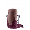 Batoh Deuter Futura 24 SL - ashrose/cassis