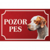 Anglický stavač - Kovová tabuľka POZOR PES