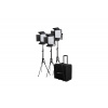 Kit Nanlite 3 light kit 600CSA w/Trolley Case & Light Stand (NAN117092)