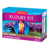 Terezia Company Klouby fit 60 kapsúl