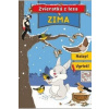 Zima - Kolektív