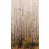 Grandeco A42601 Life Vliesová obrazová tapeta Stromy Les One roll Murals rozmery 159 x 280 cm