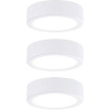 Paulmann LED osvetlenie na stenu / strop LED pevne zabudované LED osvetlenie 9 W teplá biela biela; 99989