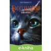 E-kniha Kočičí válečníci - Nové proroctví: Záře hvězd - Erin Hunter, Owen Richardson (ilustrátor)