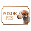 Anglický stavač - Kovová tabuľka POZOR PES
