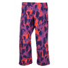 Burton Reserve 2L Gore-Tex Fiesta Pro L