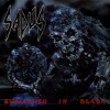 Sadus - Swallowed In Black / Reedice 2017 / Digipack [CD]