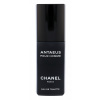 Chanel Antaeus Pour Homme (M) 100 ml, Toaletná voda