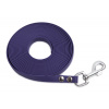 Firedog BioThane Stopovačka 13 mm 10 m fialová