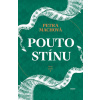 Pouto stínu (Dračí město 2)