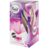 Brait Bouquet of leaves Romantic Ruby 50 ml
