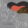 Vébrová Jana - Kameny ze dna [CD]
