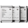 Synology HDD HAS5300-8T (8TB, SAS 12Gb/s, 256MiB)