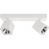 Italux stropné svietidlo LED bodové svietidlo 10W AVEIRO SPL-31981-2B-WH Italux