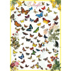 Eurographics Jigsaw Butterflies 1000 dielov