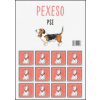 Pexeso Psi