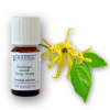 Arttec Ylang-ylang bio (Cananga odorata Totum), Ylang - ylang NAT00031