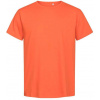 Promodoro | 3090 (XS-8XL), Pánske tričko bio premium, oranžová flame, L