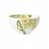 Villeroy & Boch Amazonia miska 13 cm