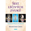 Šest léčivých zvuků - Mantak Chia