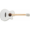 TANGLEWOOD TW4 CE BLW