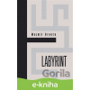 E-kniha Labyrint - Mojmír Drvota