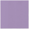 Obrúsky PAW AIRLAID 40x40 cm Monocolor Violet
