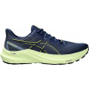 Bežecké topánky Asics GT-2000 12 GTX 1011b687-400 Veľkosť 43,5 EU | 8,5 UK | 9,5 US | 27,5 CM