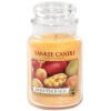 Yankee Candle Mango Peach Salsa vonná sviečka 623 g